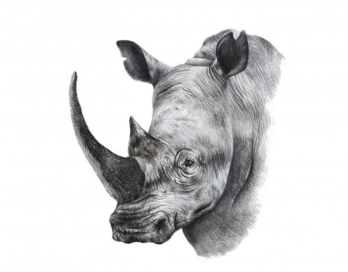 Rhino Shield Art handyhüllen