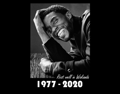 RIP Chadwick Boseman 1977 2020 handyhüllen