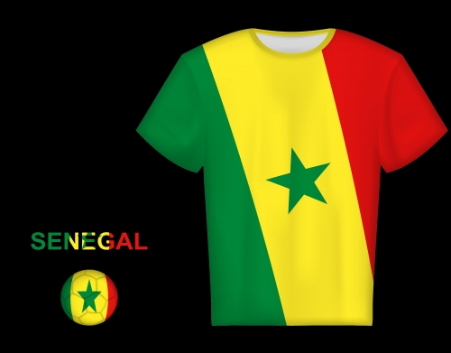 Senegal Football handyhüllen