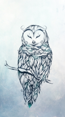 Snow Owl handyhüllen
