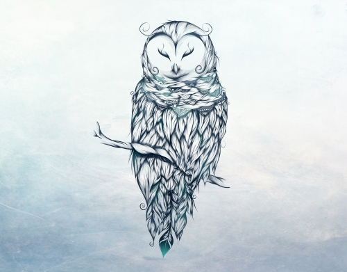 Snow Owl handyhüllen
