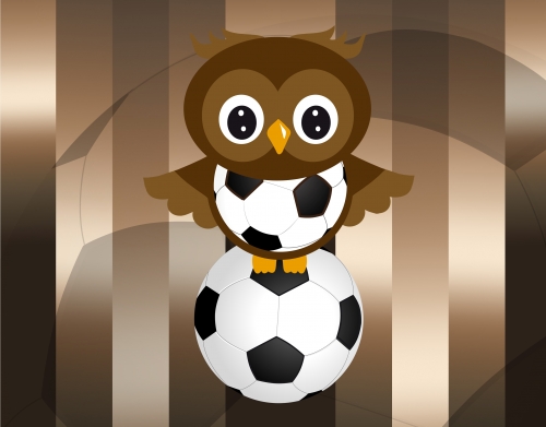 Soccer Owl handyhüllen