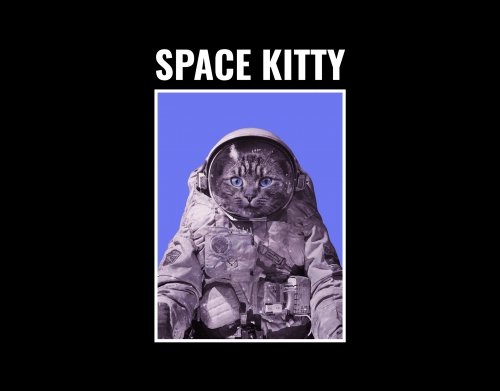 Space Kitty handyhüllen