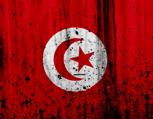 Tunisia Fans handyhüllen
