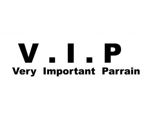 VIP Very important parrain handyhüllen