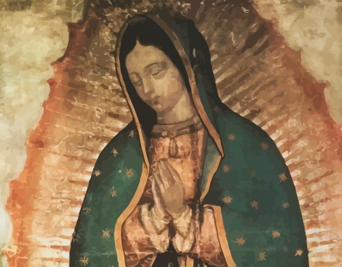 Virgen Guadalupe handyhüllen