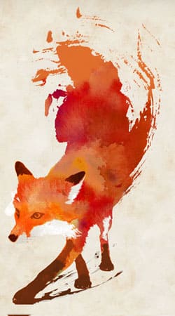 Fox Vulpes hülle
