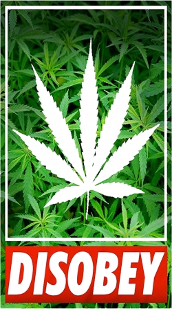 Weed Cannabis Disobey handyhüllen