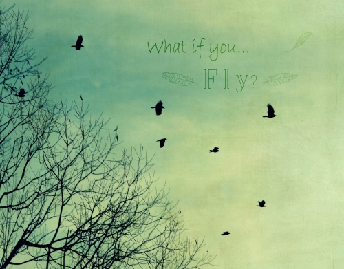 What if You Fly? handyhüllen