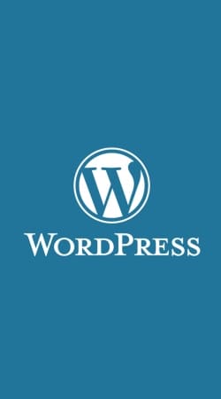 Wordpress maintenance hülle