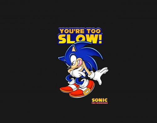 You're Too Slow - Sonic handyhüllen