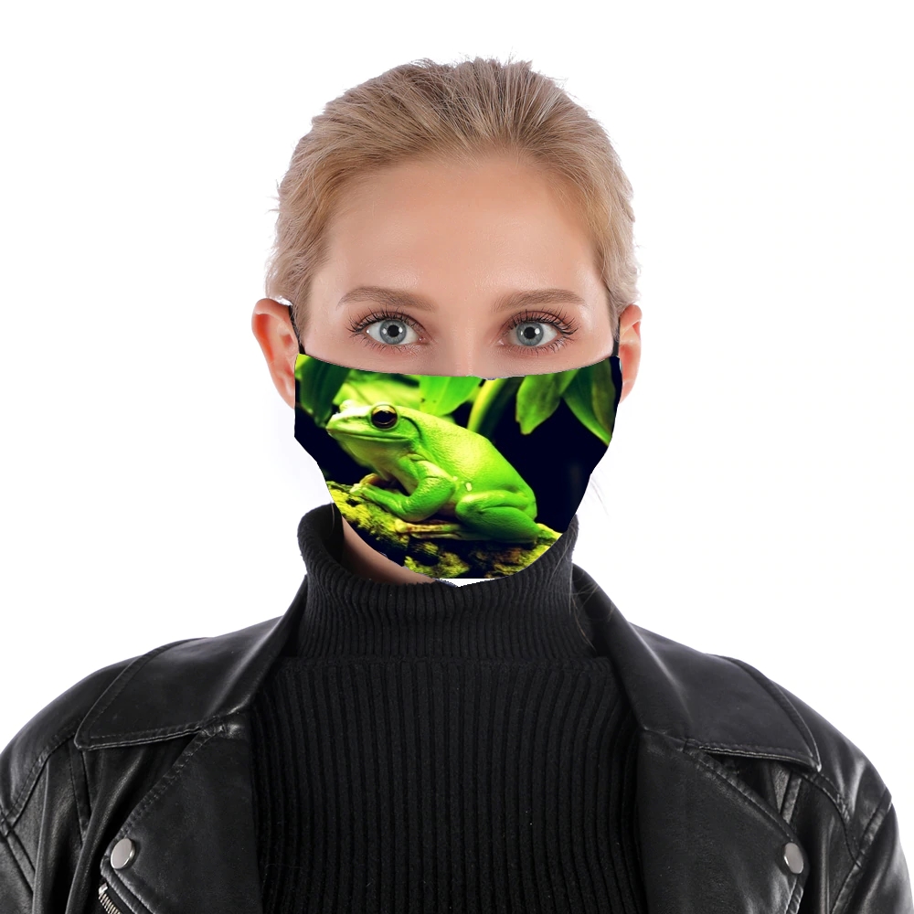 Grüner Frosch für Nase Mund Maske