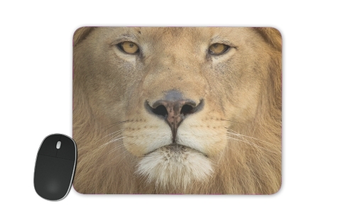 Africa Lion für Mousepad