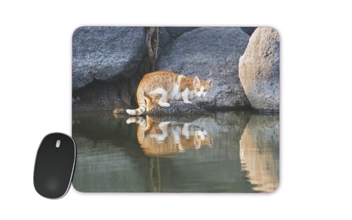 Cat Reflection in Pond Water für Mousepad