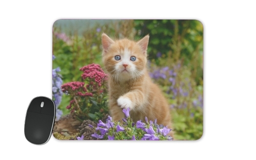 Niedliches Katzenkind, rot tabby Katze im blühenden Garten  für Mousepad