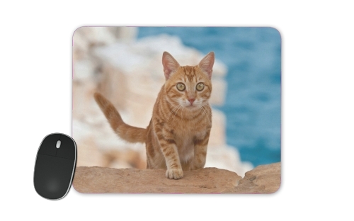 Rotgetigerte Katze auf einer Klippe für Mousepad
