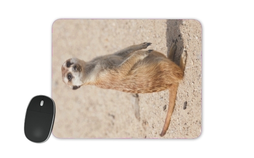 Meerkat für Mousepad