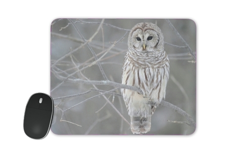 owl bird on a branch für Mousepad