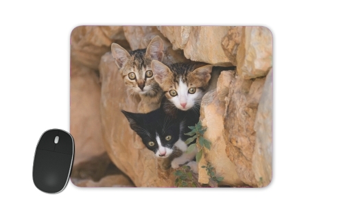 Drei kleine süssen Katzen in einem Mauerloch für Mousepad