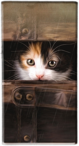 Little cute kitten in an old wooden case für Tragbare externe Backup-Batterie 1000mAh Micro-USB