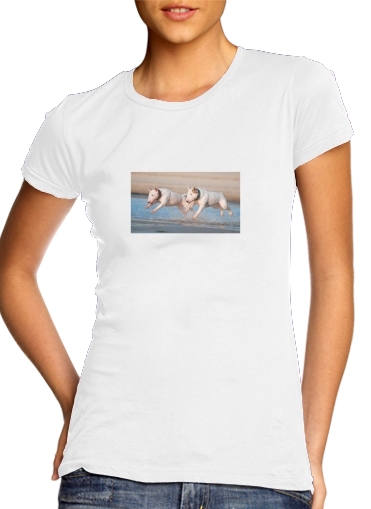 bull terrier Dogs für Damen T-Shirt
