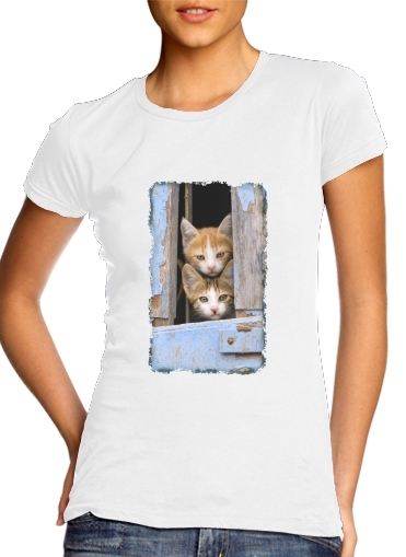 Junge Katzenkinder in einem alten Fenster für Damen T-Shirt