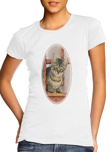 Junge Katze in rostiger Gartentür für Damen T-Shirt