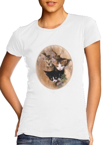 Drei kleine süssen Katzen in einem Mauerloch für Damen T-Shirt
