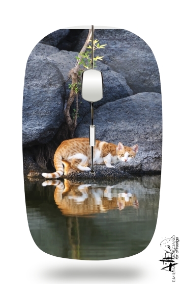 Cat Reflection in Pond Water für Kabellose optische Maus mit USB-Empfänger