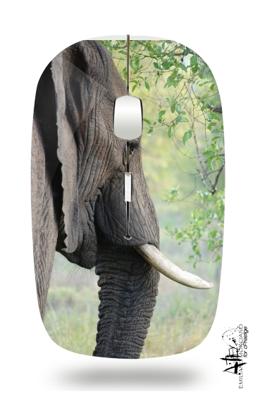 Elephant für Kabellose optische Maus mit USB-Empfänger