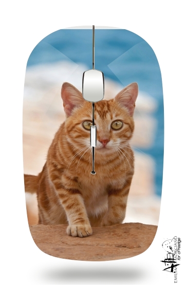 Rotgetigerte Katze auf einer Klippe für Kabellose optische Maus mit USB-Empfänger
