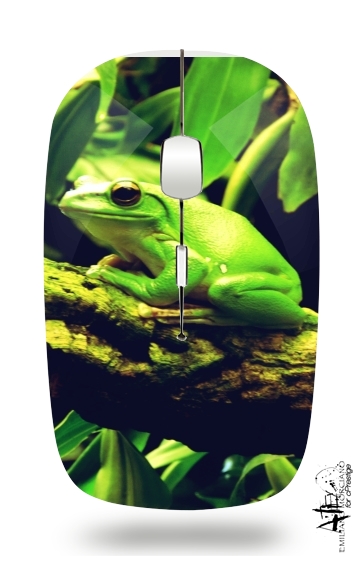 Grüner Frosch für Kabellose optische Maus mit USB-Empfänger