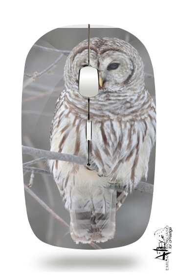 owl bird on a branch für Kabellose optische Maus mit USB-Empfänger