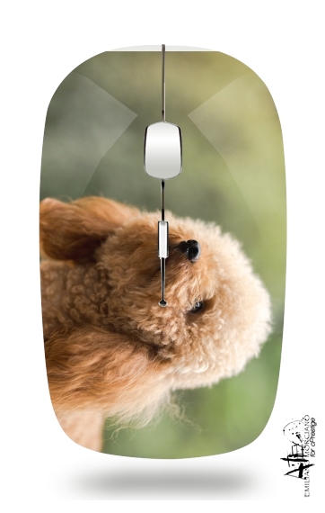 poodle on grassy field für Kabellose optische Maus mit USB-Empfänger
