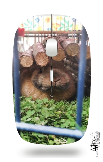 Rabbit's Love für Kabellose optische Maus mit USB-Empfänger