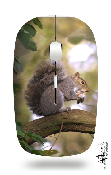 squirrel gentle für Kabellose optische Maus mit USB-Empfänger