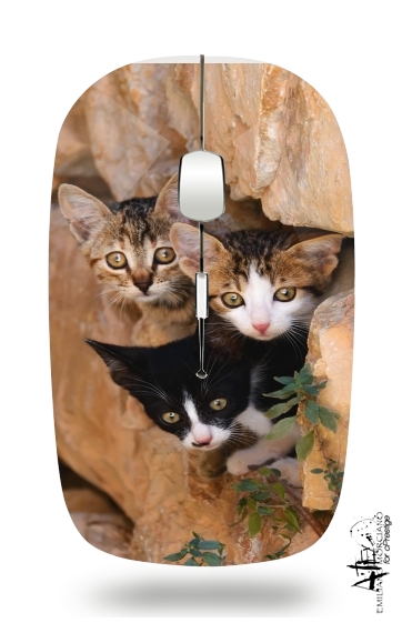Drei kleine süssen Katzen in einem Mauerloch für Kabellose optische Maus mit USB-Empfänger