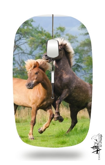 Zwei Isländer Pferde spielen, steigen und toben auf einer Wiese für Kabellose optische Maus mit USB-Empfänger