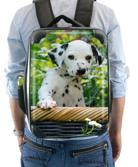 Dalmatiner Welpe in einem Korb  für Rucksack