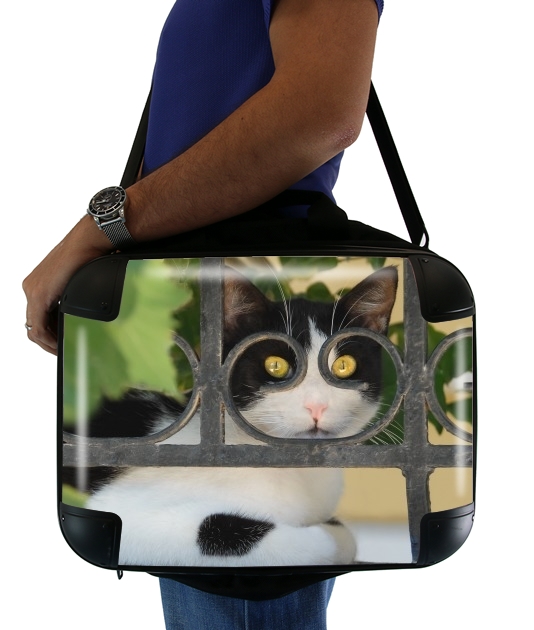 Katze mit Brille, sie schaut durch einen schmiedeeisernen Zaun  für Computertasche / Notebook / Tablet