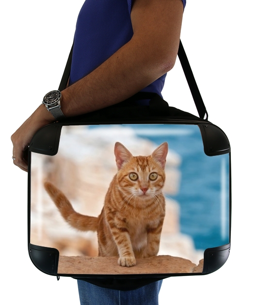 Rotgetigerte Katze auf einer Klippe für Computertasche / Notebook / Tablet