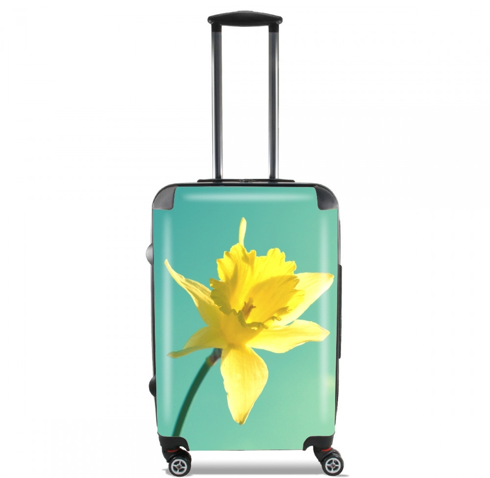 Daffodil für Kabinengröße Koffer