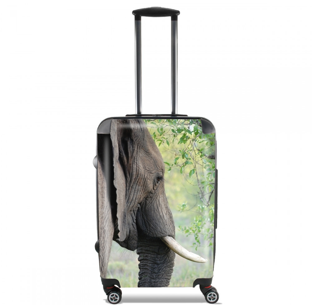 Elephant für Kabinengröße Koffer