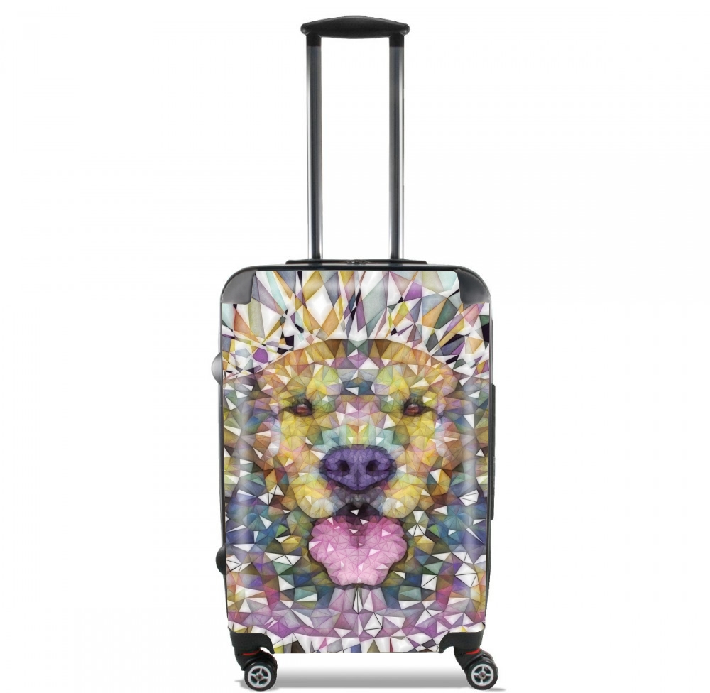rainbow dog für Kabinengröße Koffer
