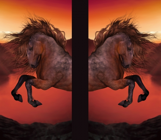 A Horse In The Sunset handyhüllen