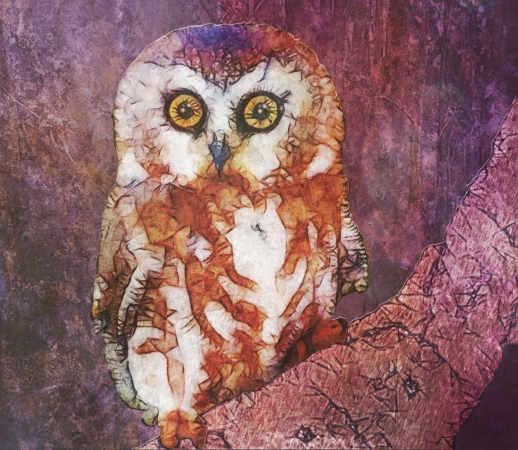 abstract cute owl handyhüllen