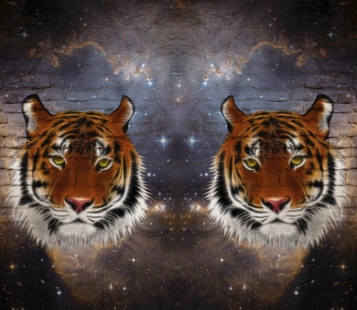Abstract Tiger handyhüllen