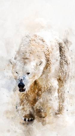 Abstract watercolor polar bear handyhüllen