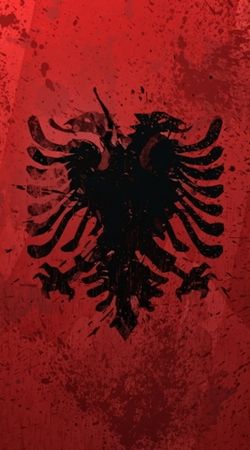 Albanie Painting Flag hülle