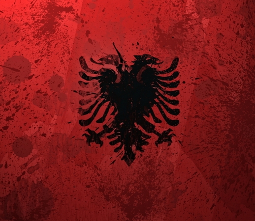 Albanie Painting Flag handyhüllen